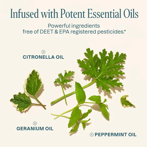 Miniatura 4 de Cliganic - Paquete repelente de mosquitos (1 clip + 2 bolitas de repuesto), sin DEET, infusión de aceite esencial, esenciales de verano, accesorios