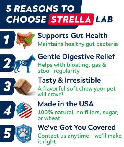 Miniatura 9 de Probióticos para perros para la salud digestiva y enzimas – Diarrea, gases, alivio del malestar estomacal y alergias de temporada – Probióticos