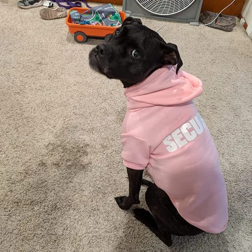 Miniatura 4 de BINGPET - Sudaderas con capucha de seguridad para perros, suéter para cachorros, abrigos para perros para clima frío, suéter con capucha de forro #1