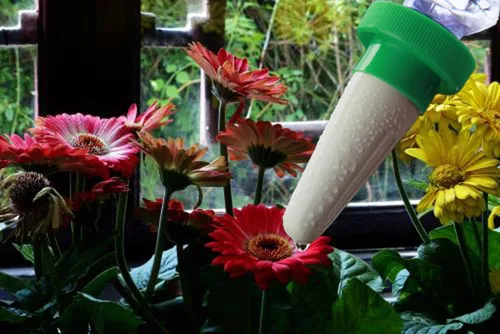 Miniatura 6 de Greatstar - Regadera de plantas de cerámica para vacaciones, sistema automático de estacas de riego de flores y goteo para uso en interiores y 8 Pzas