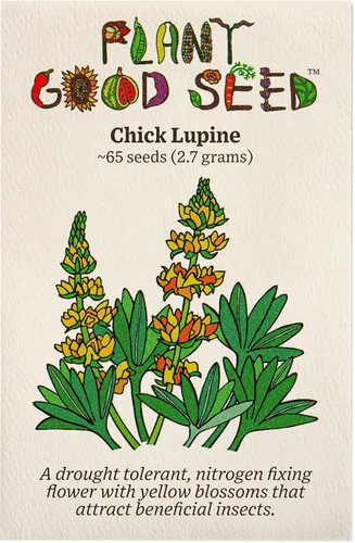 Miniatura 5 de Plant Good Seed Arroyo Blue Lupine Seeds for Planting: California Native Wildflower, Dark Purple Blossoms - Paquete de 60 semillas