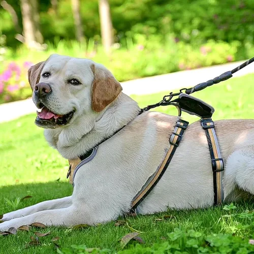 Miniatura 7 de Mihachi Arnés para perro a prueba de escapes, arnés para perro sin tirones con asa, suave acolchado reflectante y ajustable de cuerpo completo