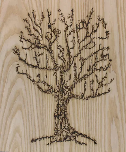 Miniatura 6 de Lichtenberg Máquina 10kV 30mA Transformador de señal de neón fractal Máquina de quemar madera quemadora dispositivo de neón Fuente de alimentación