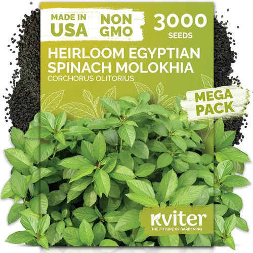 Miniatura 9 de KVITER 325 semillas de tomates gigantes (Solanum lycopersicum) – Filete de ternera paquetes de semillas de tomate – Tomates tradicionales – Semillas