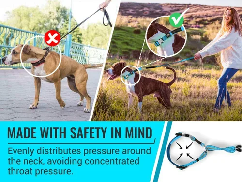 Miniatura 6 de Collar Martingale para perros, collar de entrenamiento para perros sin tirones y antideslizante, nailon resistente para caminar activamente, hebilla