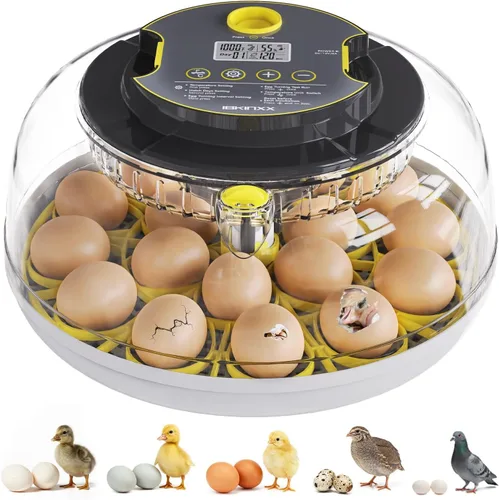 IBKINXX Incubadora para incubar huevos: capacidad de 18 huevos, girador automático de huevos, control de temperatura y humedad, visualización de
