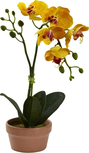 Miniatura 2 de Nearly Natural Orquídea Phalaenopsis con jarrón de arcilla (juego de 4)