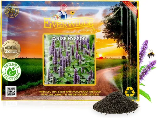 Miniatura 9 de Everwilde Farms - Semillas de flores silvestres nativas de hisopo de anís de 1 onza - Gold Vault