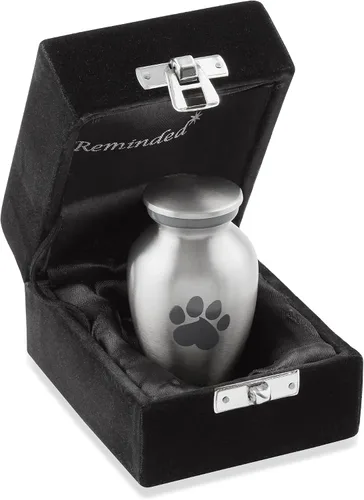 Miniatura 11 de Urna de latón macizo de 9 pulgadas para perros y gatos para cenizas de mascotas, recuerdo de cremación para mascotas de hasta 110 libras, estampado