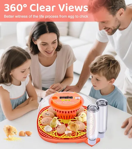 Miniatura 7 de Incubadora de 12 huevos para incubar huevos, control inteligente de temperatura y humedad, giro automático de huevos, incubadora para incubar pollo