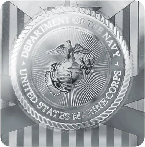 Miniatura 5 de GRAPHICS & MORE Colgante de placa de perro militar con logotipo blanco en negro con cadena