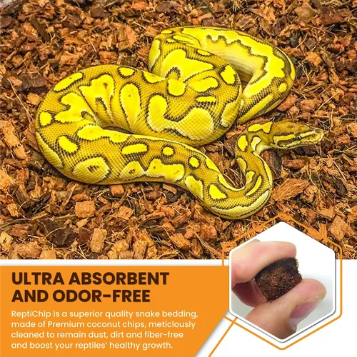 Miniatura 4 de ReptiChip - Sustrato de reptil con chips de coco de 72 cuartos de galón de capacidad, bloque de cáscara de coco orgánico comprimido para hábitat