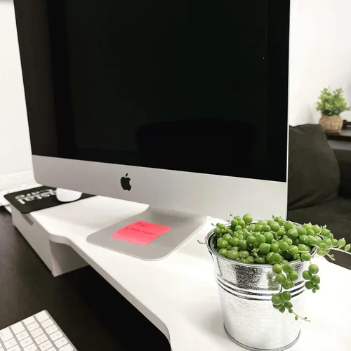Miniatura 2 de Cadena de perlas (Senecio Rowleyanus) - Plantas vivas rastreras totalmente enraizadas y en floración - Rara planta de interior para decoración