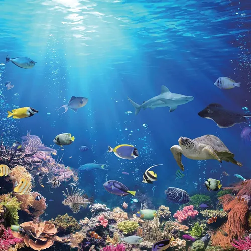 Under the Sea Coral Reef - Rompecabezas de 500 piezas para adultos y niños | Tablero interactivo para el cerebro, juguetes educativos y juegos para