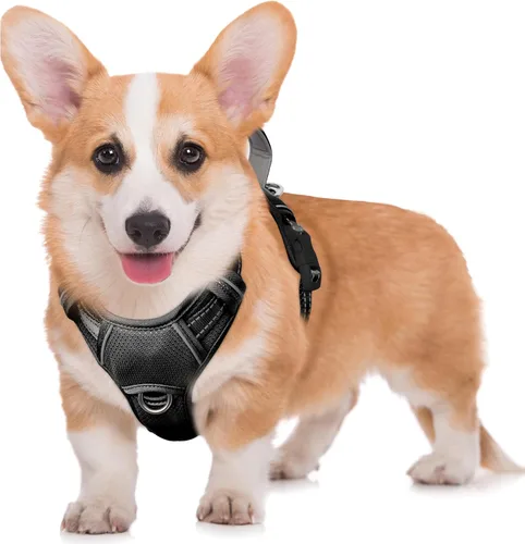 Miniatura 88 de BARKBAY Arnés para Perro Sin Tirones Talla Grande Arnés Reflectante para Perro con Clip Frontal y Asa de Control Fácil para Caminar Entrenar Correr