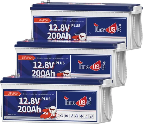 Miniatura 8 de Timeusb LiFePO4 Batería de 12 V 200 Ah Plus, batería de ciclo profundo con potencia de salida máxima de 2560 W, batería de litio integrada de 200 A