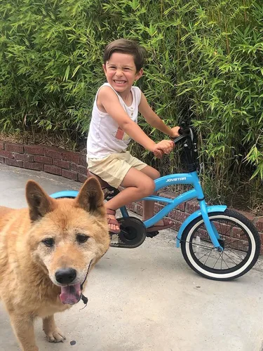 Miniatura 5 de JOYSTAR Bicicleta de crucero para niños de 12, 14 y 16 pulgadas, para niños de 2 a 7 años, bicicleta para niños con ruedas de entrenamiento, freno