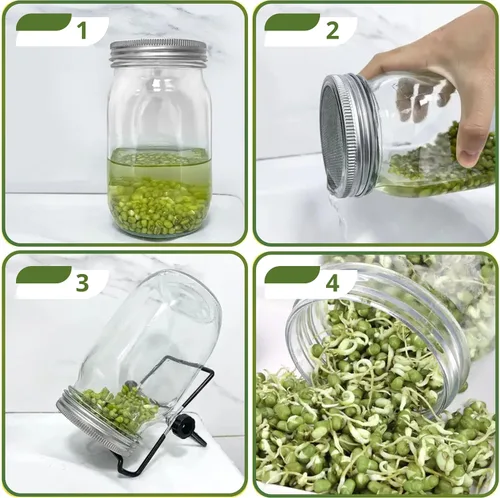 Miniatura 6 de 4 soportes de germinación para tarro Mason – Kit de germinación de 4 soportes para tarros Mason para boca ancha y regular, kit de soporte de acero