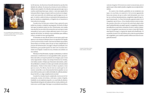 Miniatura 6 de La guía de fermentación de Noma: Incluye koji, kombuchas, salsas shoyu, misos, vinagres, garum, fermentos lácticos y frutas (Foundations of Flavor)