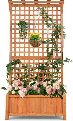 Miniatura 9 de S AFSTAR Cama de jardín elevada con enrejado, maceta elevada de madera con techo colgante y enrejado trepador, 4 agujeros de drenaje, contenedor
