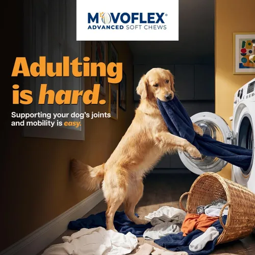 Miniatura 2 de MOVOFLEX Virbac - Suplemento de apoyo avanzado para la cadera y las articulaciones para perros medianos, 60
