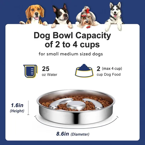 Miniatura 3 de AIPERRO Tazón de acero inoxidable para perros de alimentación lenta, 2 tazas de metal antideslizante para comida para perros, cuenco de agua