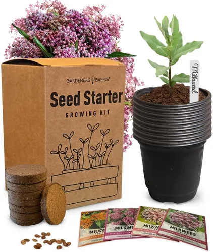Kit de inicio de semillas de algodoncillo de mariposa – Cultiva 4 hermosas variedades de algodoncillo – Semillas de reliquia sin OMG, kit completo