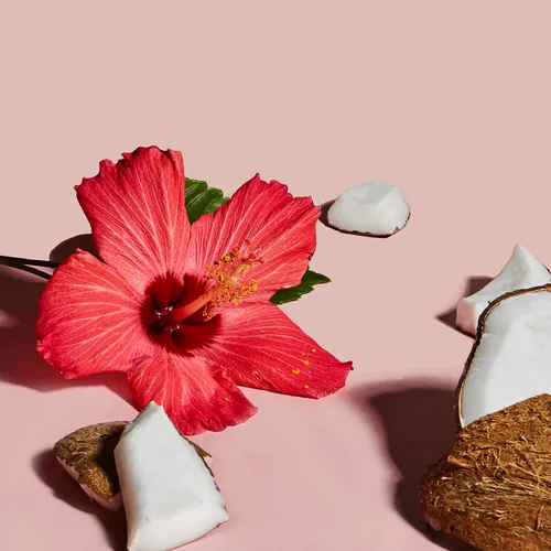 Miniatura 13 de SheaMoisture Curl & Style Milk Coco e Hibisco con Proteína de Seda y Aceite de Neem para Cabello Grueso, Definido y Rizado Comercio Justo, Sin
