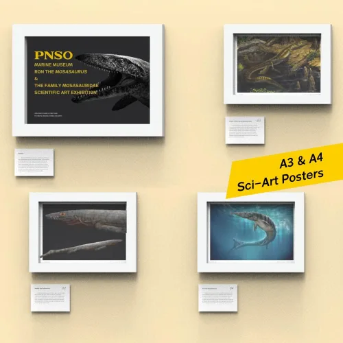 Miniatura 5 de PNSO Serie de Museos de Dinosaurios (Ron The Mosasaurus 1:35 Modelo de Arte Científico)