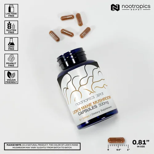 Miniatura 3 de Nootropics Depot Cápsulas de hongos melena de leones Extracto dual de cuerpo fructífero completo 8:1 500 mg 60 unidades Hericium erinaceus
