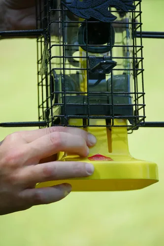 Miniatura 4 de Brome 2004 Squirrel Solution200 (5.5 x 5.5 x 30 pulgadas) Comedero para pájaros antiardillas con 6 puertos de alimentación, 2 qt/3.4 lb de capacidad