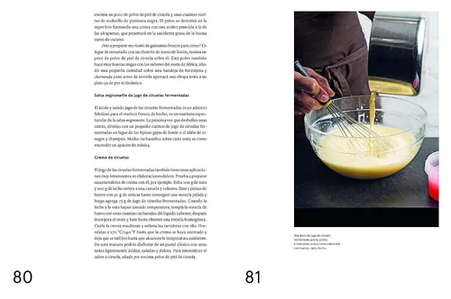Miniatura 9 de La guía de fermentación de Noma: Incluye koji, kombuchas, salsas shoyu, misos, vinagres, garum, fermentos lácticos y frutas (Foundations of Flavor)