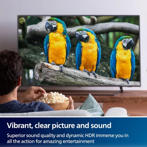 Miniatura 5 de PHILIPS Adaptador USB-C a DisplayPort, paquete de 12 [8K UHD @ 60Hz 4K HD @ 144 Hz] Velocidad de transferencia de datos de 32.4 Gbps, portátil