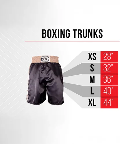 Miniatura 8 de CLETO REYES - Bañadores metálicos de boxeo