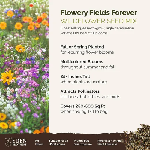 Miniatura 2 de Eden Brothers Flowery Fields Forever Flower - Semillas mixtas para plantar, 1/4 libras, más de 120,000 semillas con aciano, Candytuft Atrae