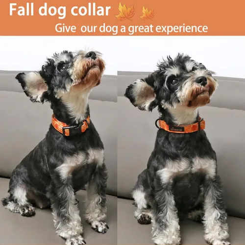 Miniatura 3 de Aring Pet Collar de algodón, ligero y ajustable, con hebilla de liberación rápida, para perros pequeños, medianos y grandes, otoño, naranja, hojas