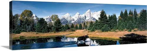 CANVAS ON DEMAND Lienzo decorativo para pared, diseño de alce y estanque de castores Grand Teton National Park Wy, decoración del hogar, vida