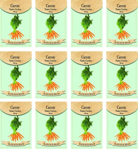 Miniatura 19 de Juego de 12 paquetes de semillas de verduras de roqueta de rúcula, crea un jardín de lujo, todas las semillas son reliquias, 100% sin OMG