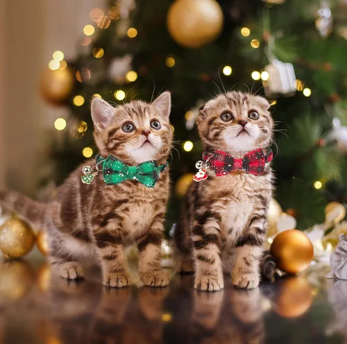 Miniatura 3 de ADOGGYGO Collar Navideño para Gato de Liberación Rápida con Pajarita y Campanilla - Paquete de 2 Collares Navideños a Cuadros Rojos y Verdes