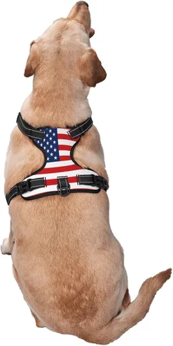 Miniatura 2 de 250th USA Anniversary Reflective Dog Harness No Pull Soft Vest Harness for Small Medium Large Dog Puppy Pets (Small Size)