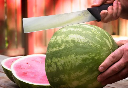 Miniatura 6 de Mercer Culinary Cuchillo de sandía de 12 pulgadas