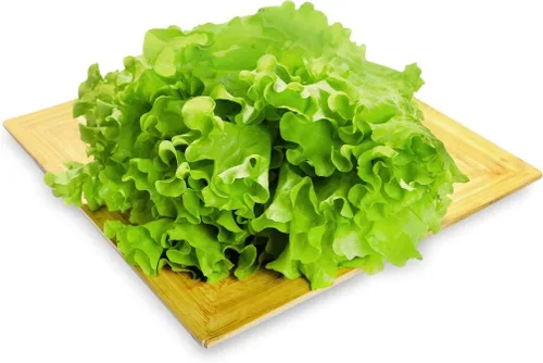 Miniatura 2 de Lechuga de hoja rizada más de 1000 semillas para plantar sin OMG