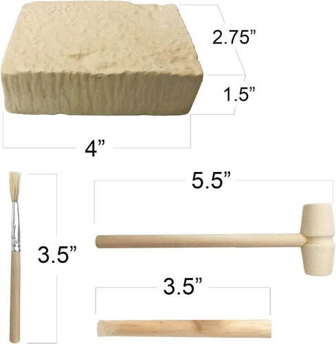 Miniatura 3 de ArtCreativity Dino Teeth Dig and Discover Kit de excavación para niños, incluye dientes fósiles de juguete T-rex y Tarbosaurus con 2 herramientas