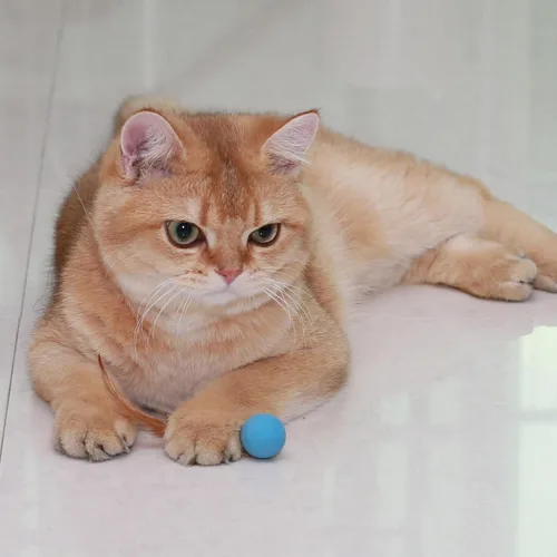 Miniatura 4 de Pelotas de juguete para gatos con plumas, 3 pelotas interactivas para gatos de interior y gatitos juguetones, juguetes de goma