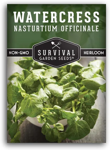 Semillas de berros para plantar, hierbas acuáticas de reliquia, sin OMG, capuchina oficial para cultivo hidropónico, semillas de jardín de