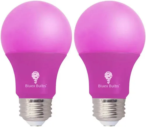 BlueX - Paquete de 2 bombillas LED A19 (9 W, equivalente a 60 W), base E26, luz azul, decoración de fiestas, porche, iluminación del hogar, Púrpura