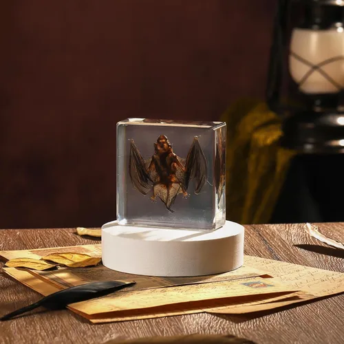 Miniatura 7 de Murciélago de taxidermia, especímenes de murciélago reales en resina para educación científica en el aula, gran regalo para fanáticos