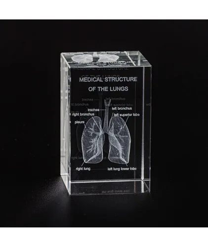 Miniatura 2 de Ultrassist Modelo 3D de Pulmón Humano de Cristal, Modelo Anatómico Grabado Láser para Decoración de Hogar y Oficina, Regalos para Neumólogos
