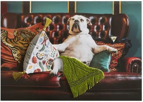 Miniatura 2 de NIQUEA.D, Tarjeta de cumpleaños de perro en el sofá
