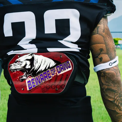 Miniatura 5 de O Shield Football Backplate for Shoulder Pads, Expression Series